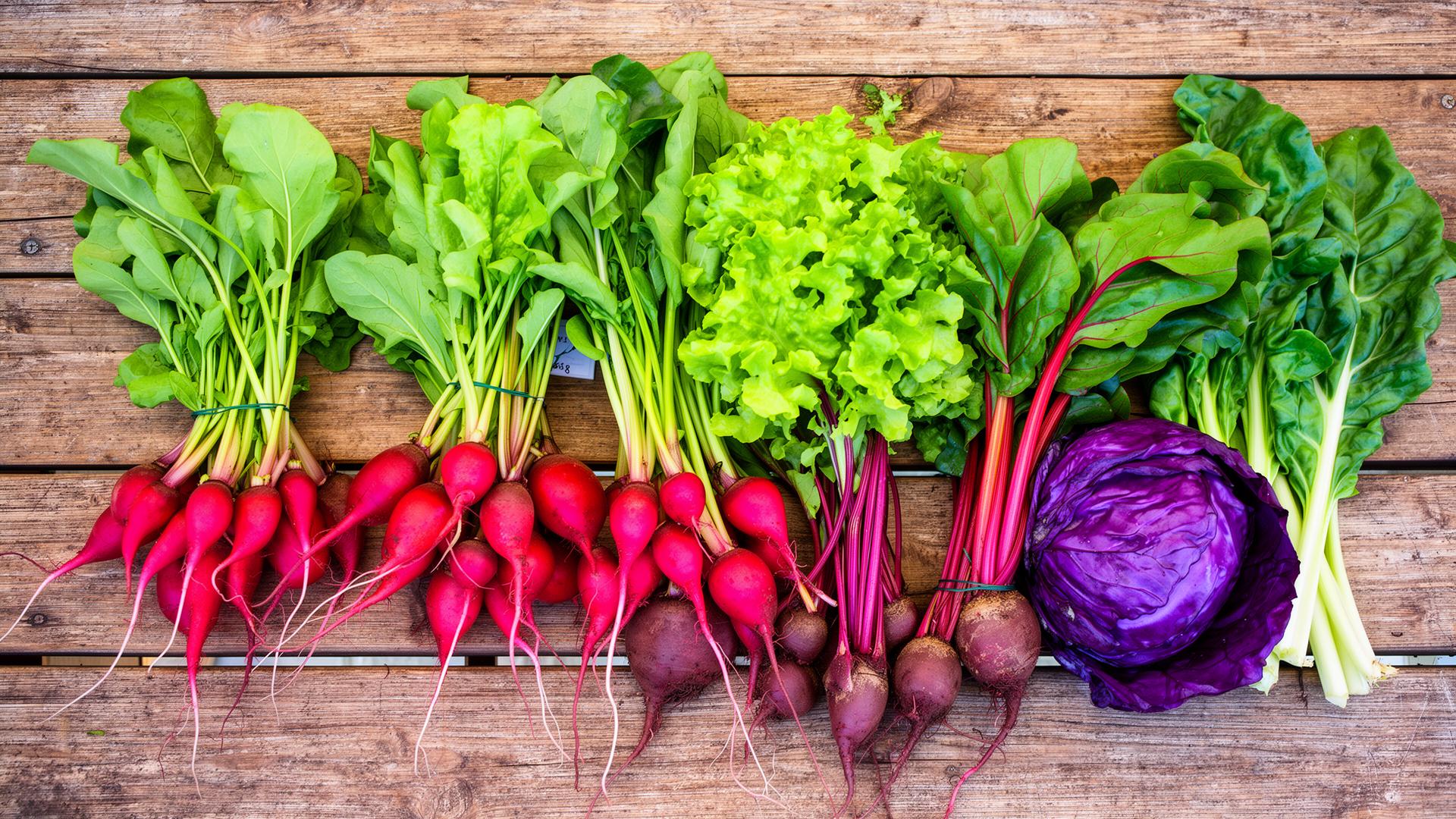 Freshly harvested vegetables on a wooden table